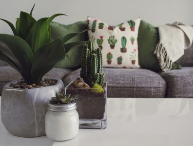 The Best Products From Wayfair to Get Your Home Cozy