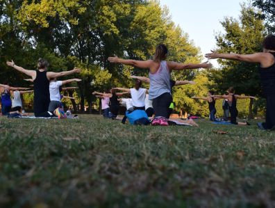 Learn Fundamentals Of Yoga at ISSA US
